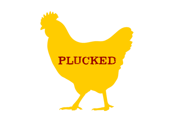 Plucked- Chicken and Beer Coming to&nbsp;Pleasanton!